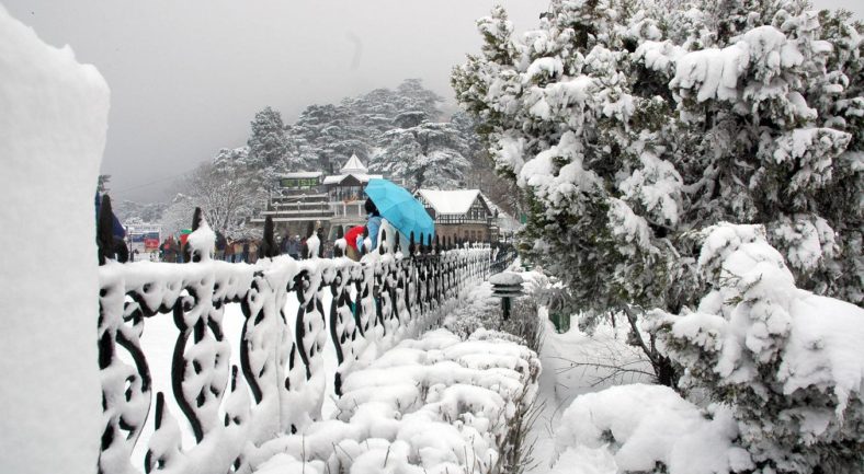 A panoramic view of Shimla after receiving fresh snowfall on Friday.Also seen in the picture is a tree almost uprooted due to heavy snow fall.
Photo By: Amit Kanwar